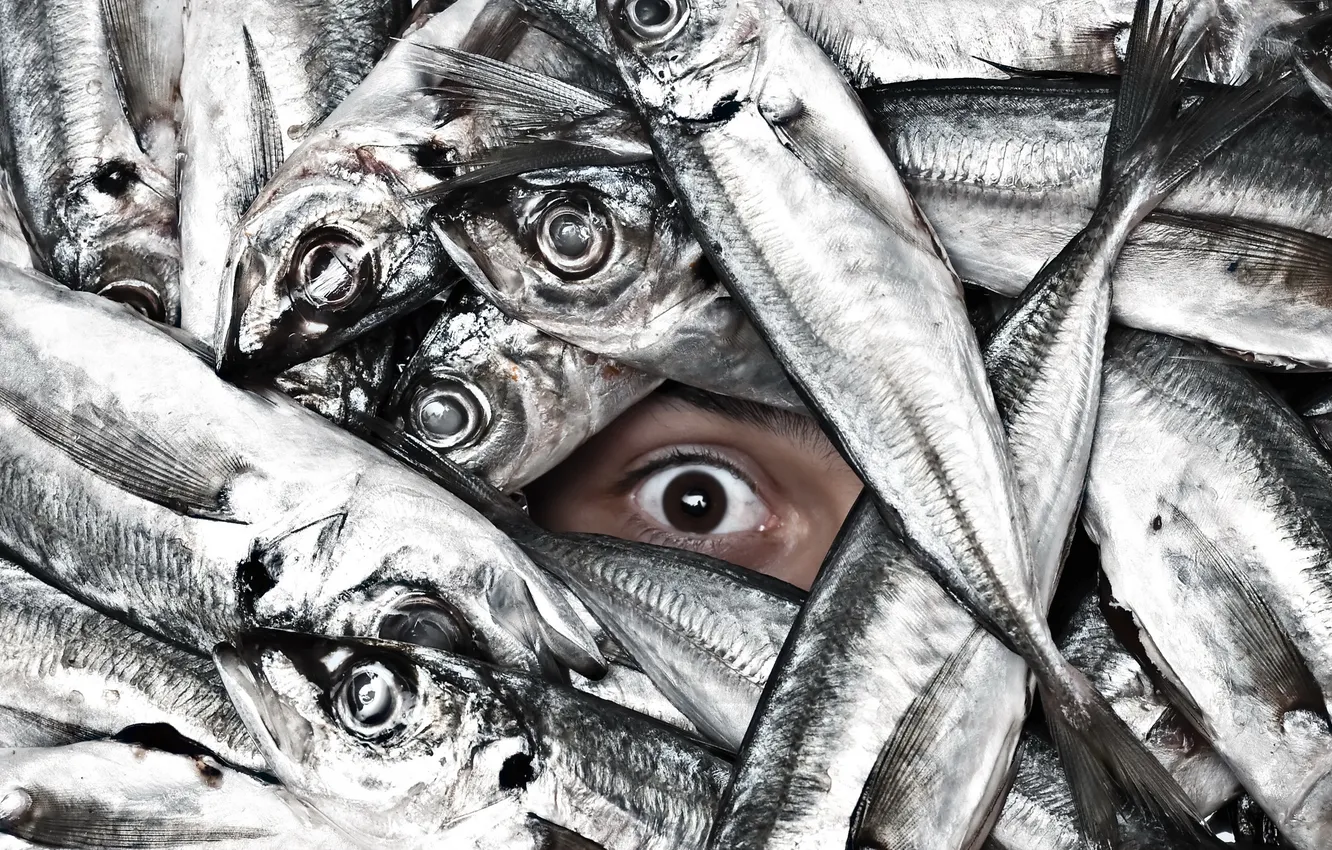Photo wallpaper eyes, fish, Ichthyo phobia