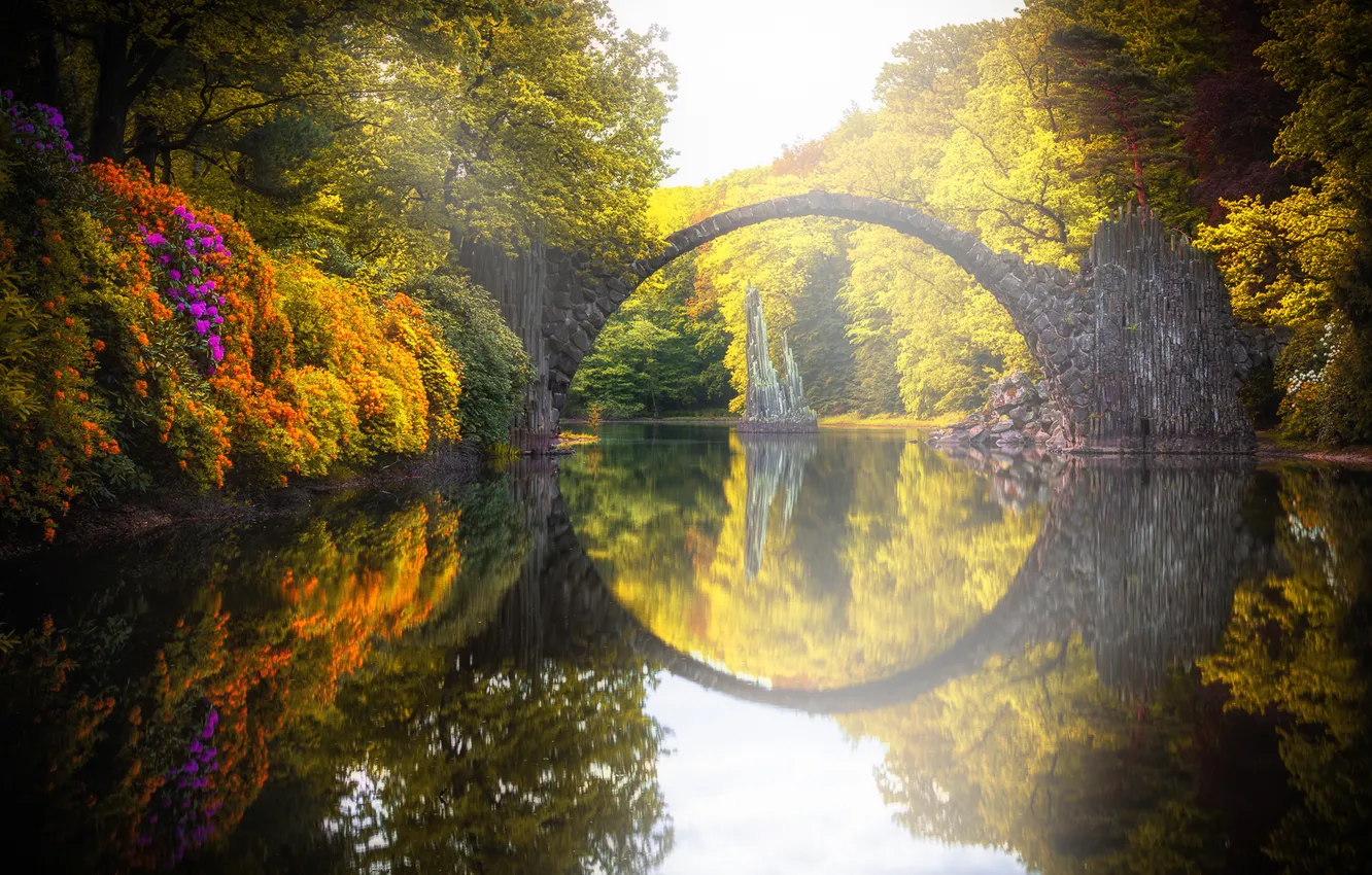 Photo wallpaper bridge, nature, Park, reflection, river