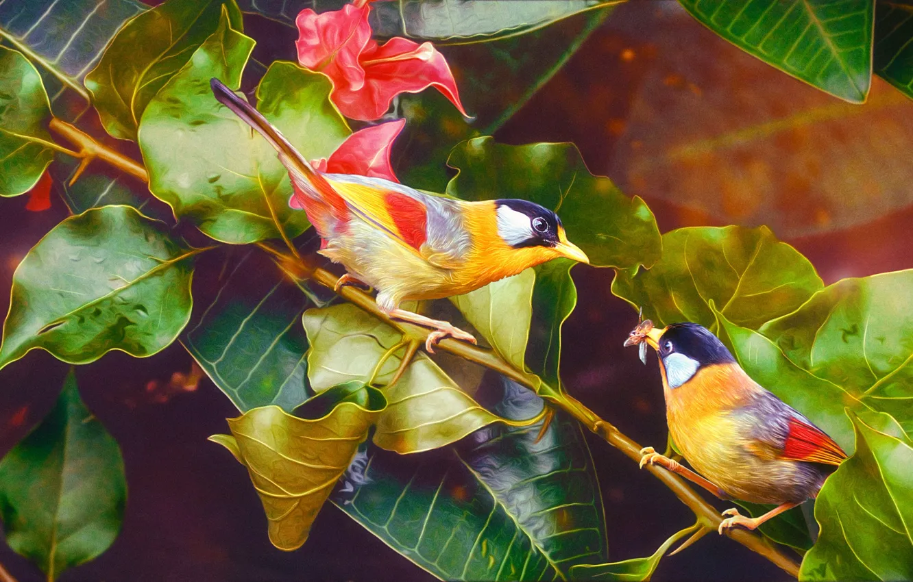 Photo wallpaper nature, bird, nature, flowers, birds