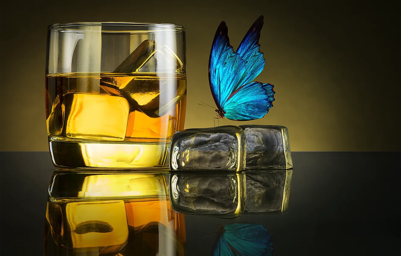 Photo wallpaper ice, butterfly, glass, glass, ice, whiskey, whiskey, butterfly