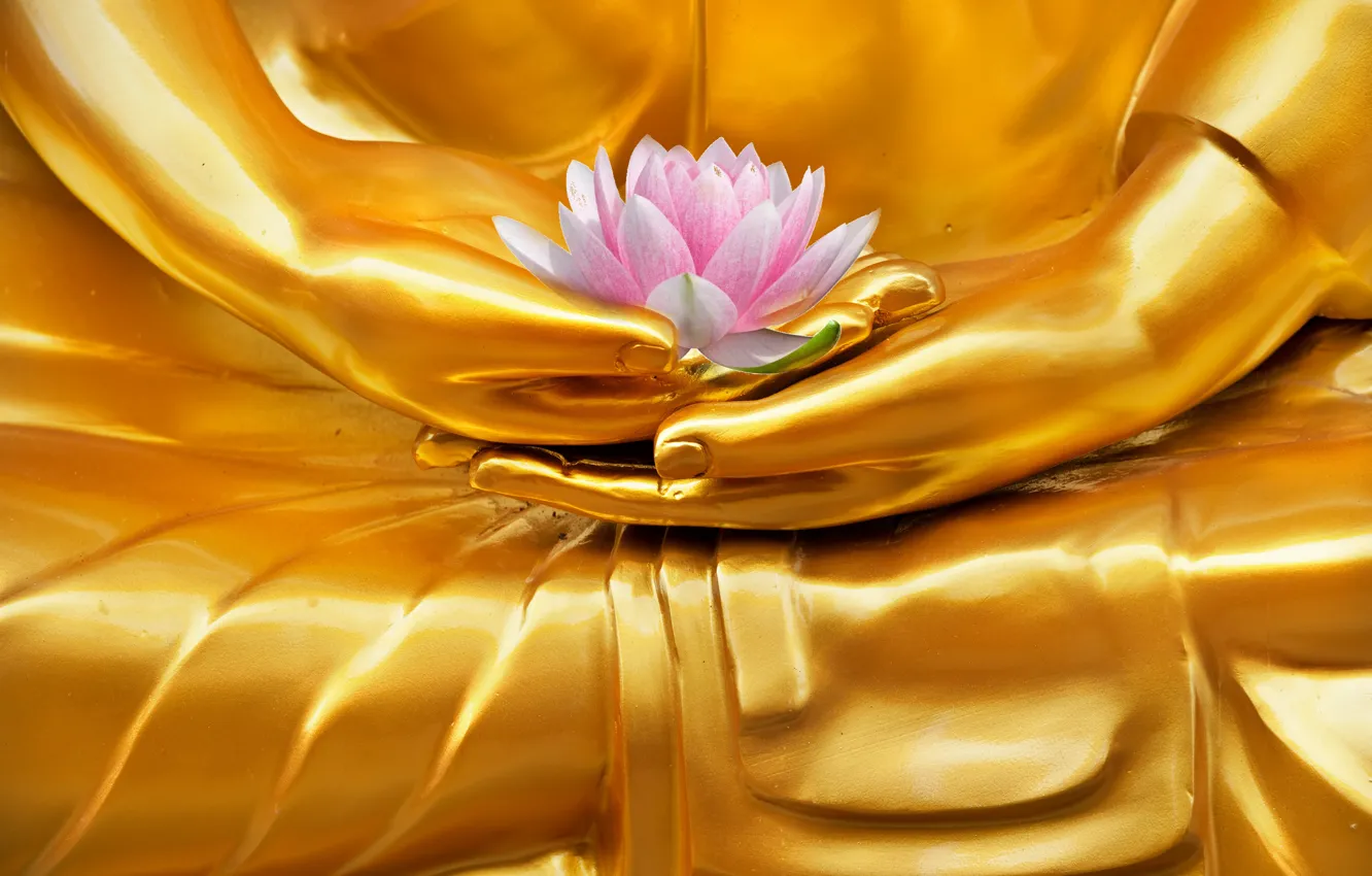 Photo wallpaper golden, hand, Buddha, religion, Buddhism