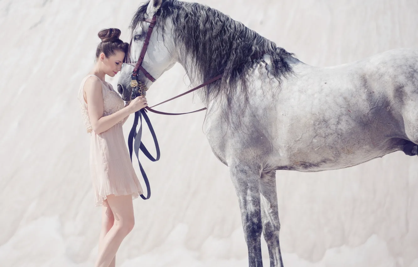 Photo wallpaper girl, mood, horse