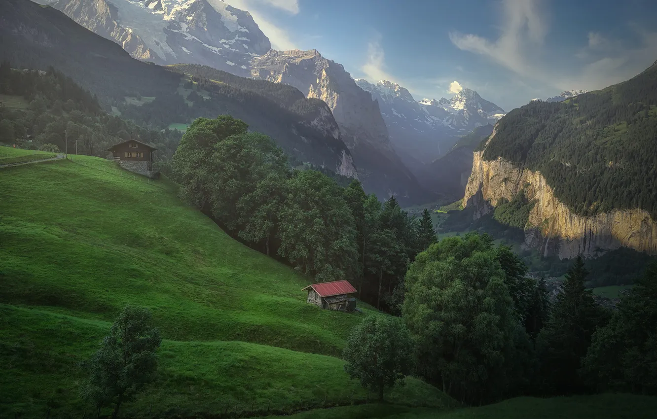 Photo wallpaper forest, mountains, height, slope, house