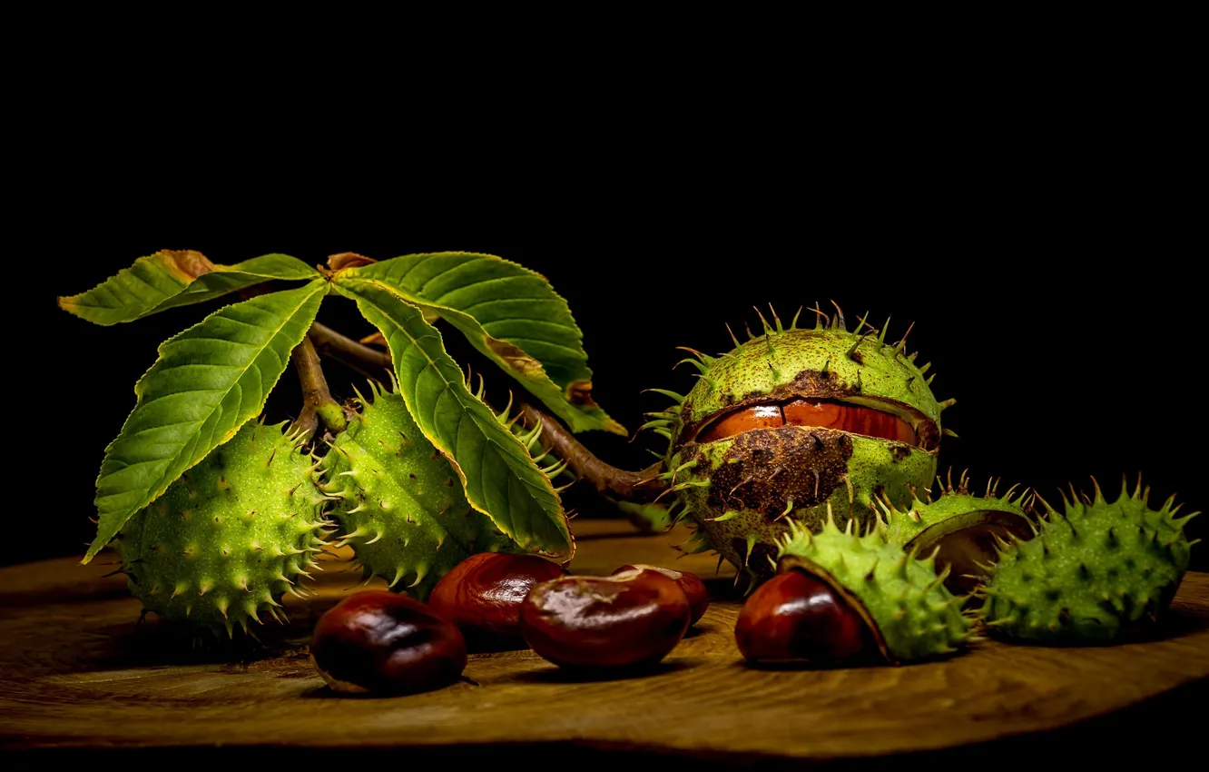 Photo wallpaper barb, fruit, chestnut