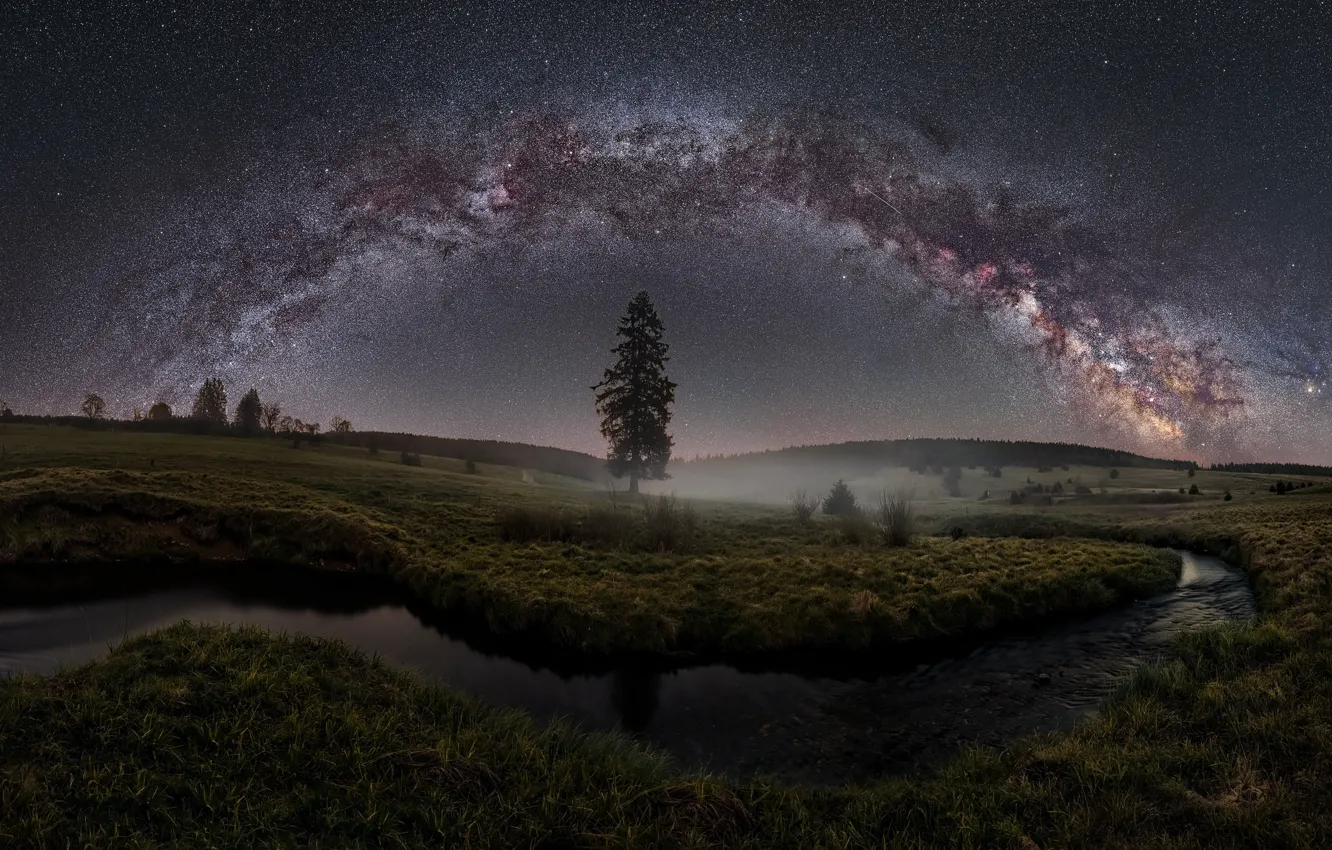 Photo wallpaper stars, trees, fog, river, the milky way, river, stars, tree