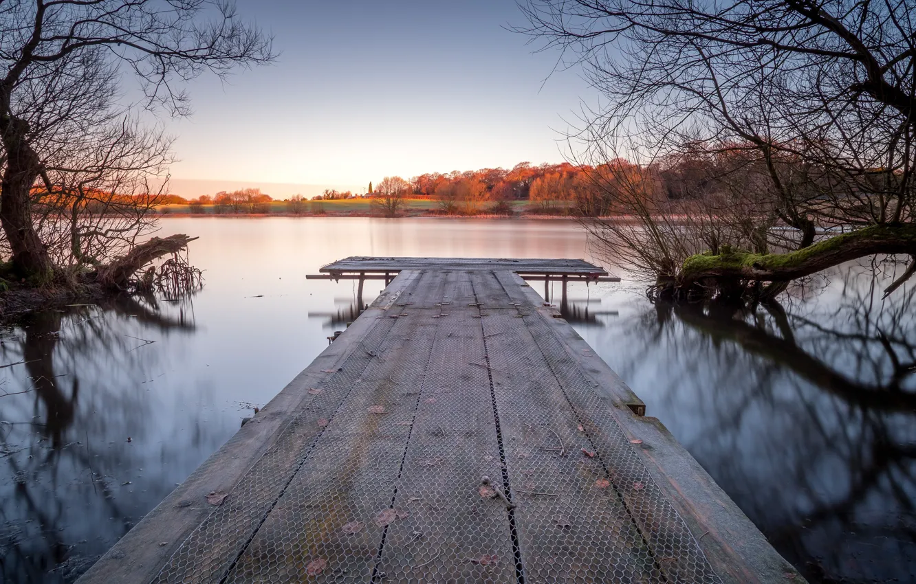 Photo wallpaper autumn, leaves, trees, branches, lake, reflection, mesh, shore