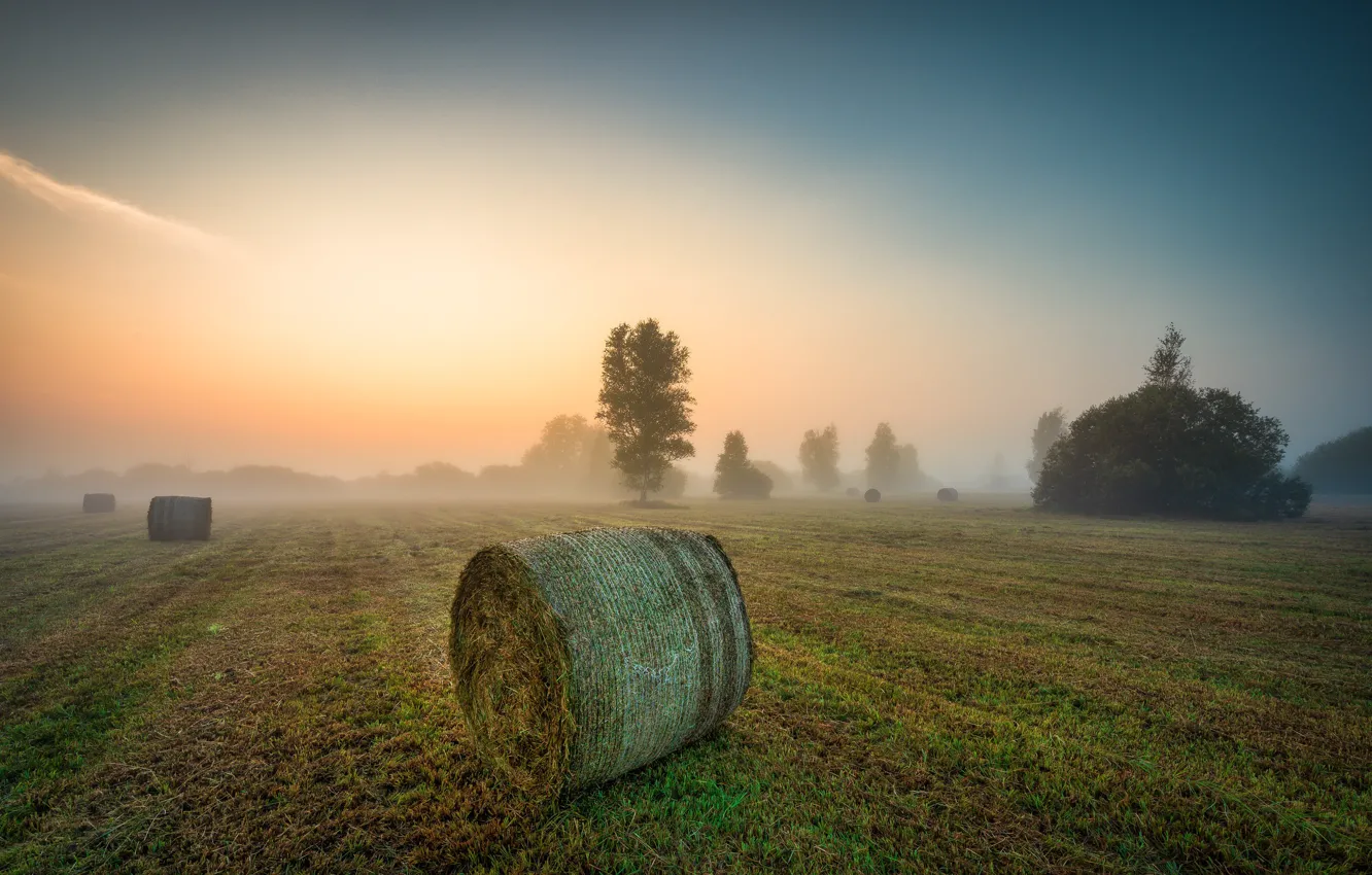 Photo wallpaper field, fog, hay
