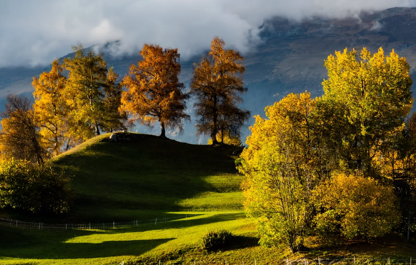 Photo wallpaper autumn, clouds, trees, landscape, mountains, nature, hills, Switzerland