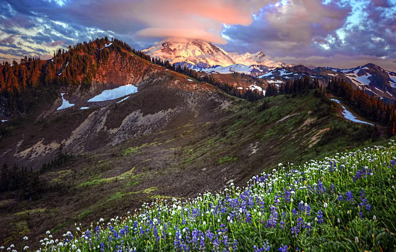 Photo wallpaper the sky, landscape, flowers, mountains