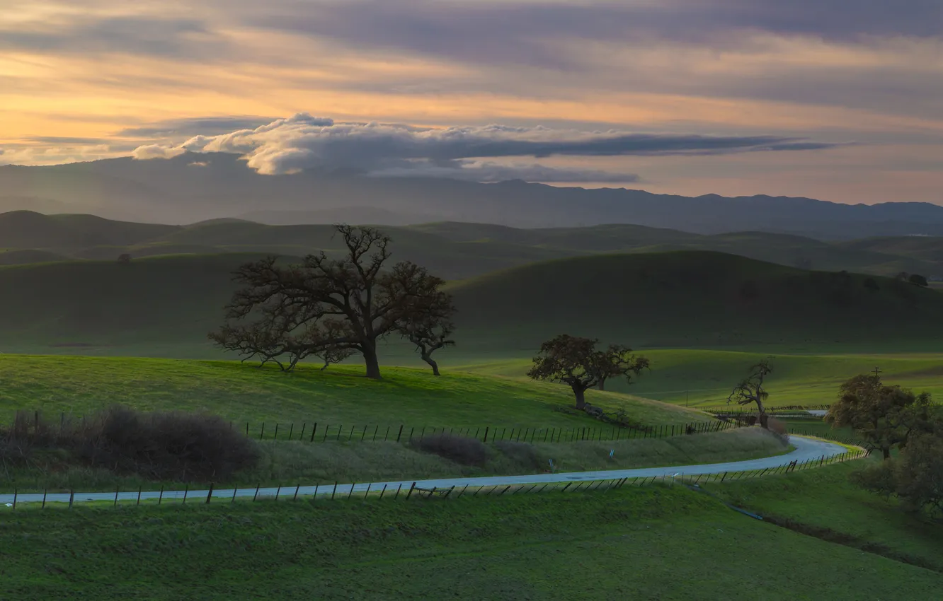 Photo wallpaper road, field, landscape