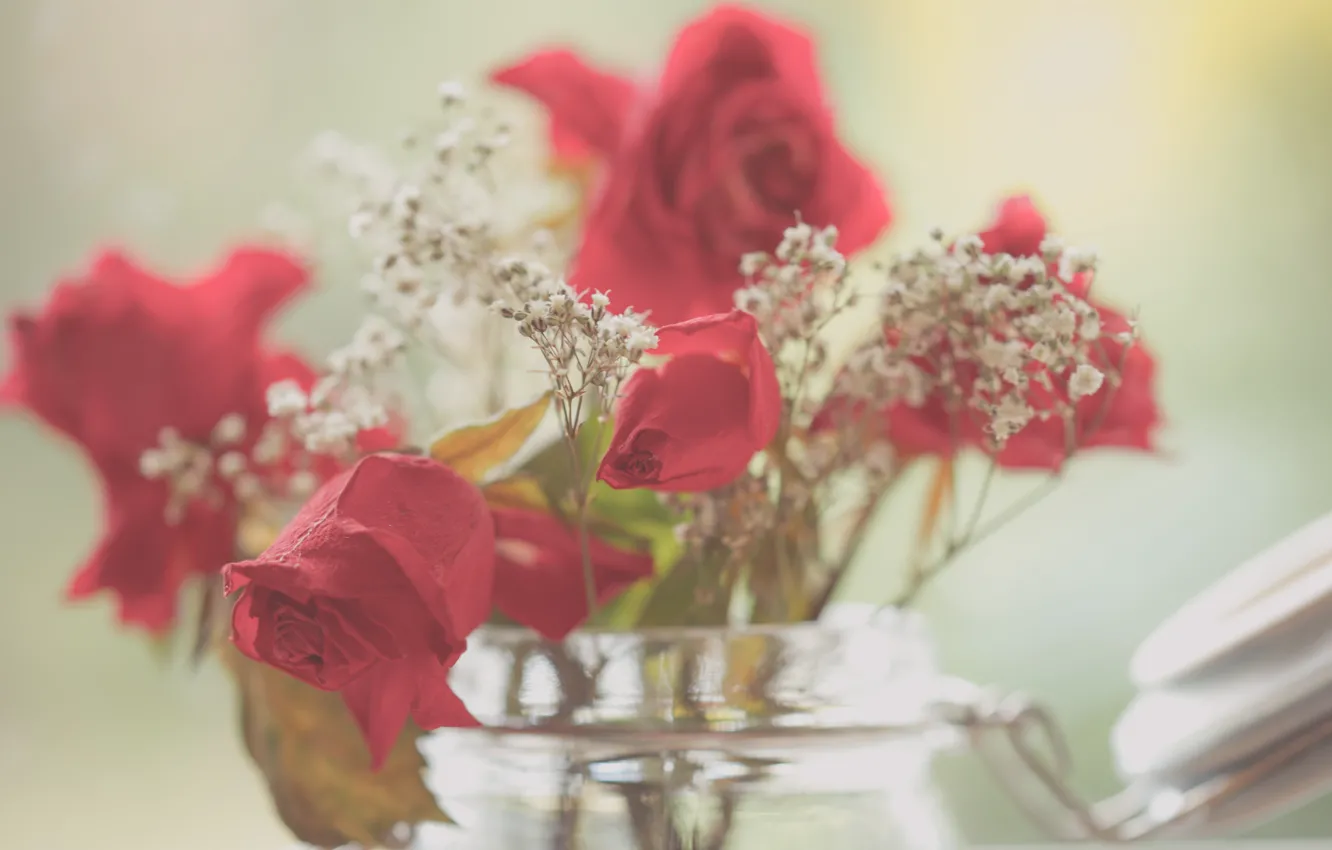 Photo wallpaper beauty, roses, jar