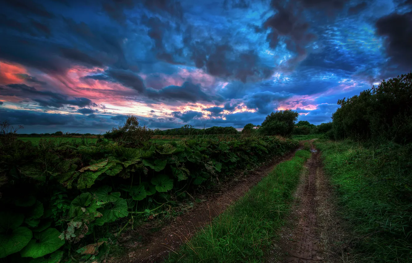 Photo wallpaper road, summer, the sky, grass, trees, clouds, the evening, gloomy
