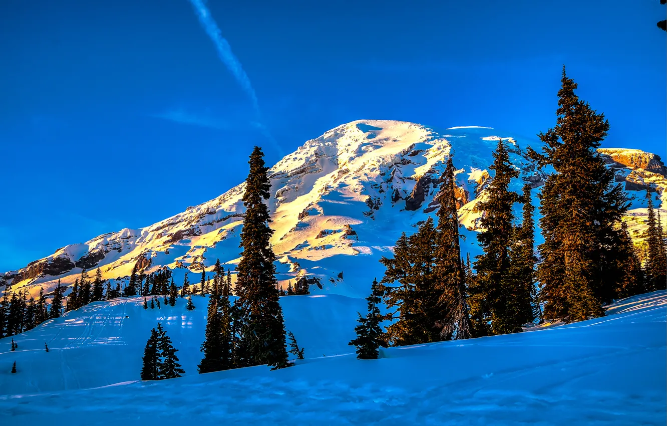 Photo wallpaper winter, the sky, snow, trees, mountains, spruce, slope