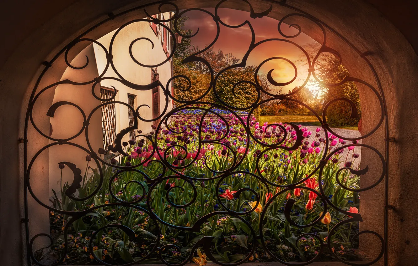 Photo wallpaper flowers, treatment, arch, tulips