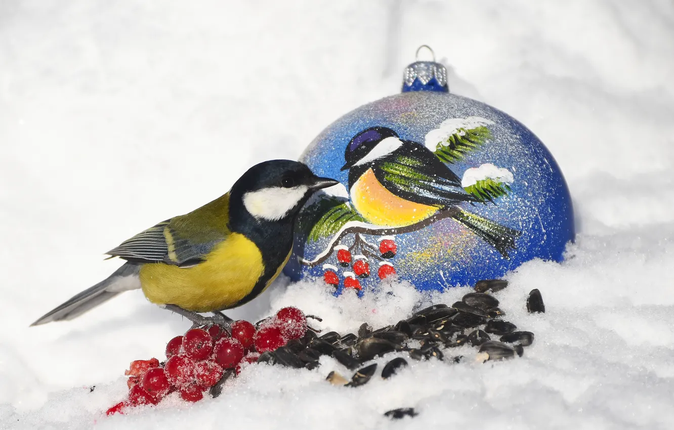 Photo wallpaper holiday, new year, tit