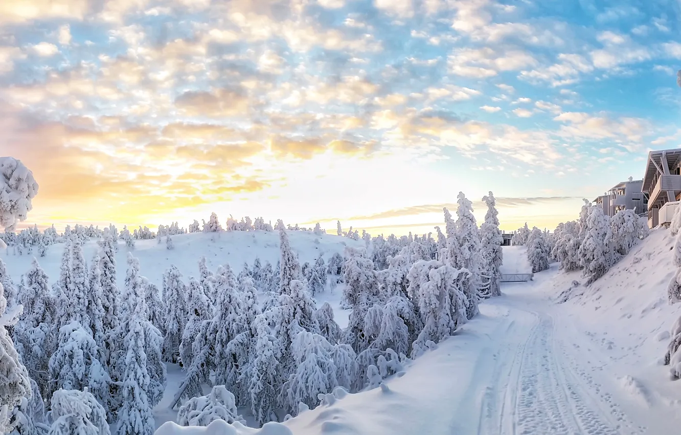 Photo wallpaper winter, snow, trees, Hand, Finland, Finland, In Kuusamo, Kuusamo