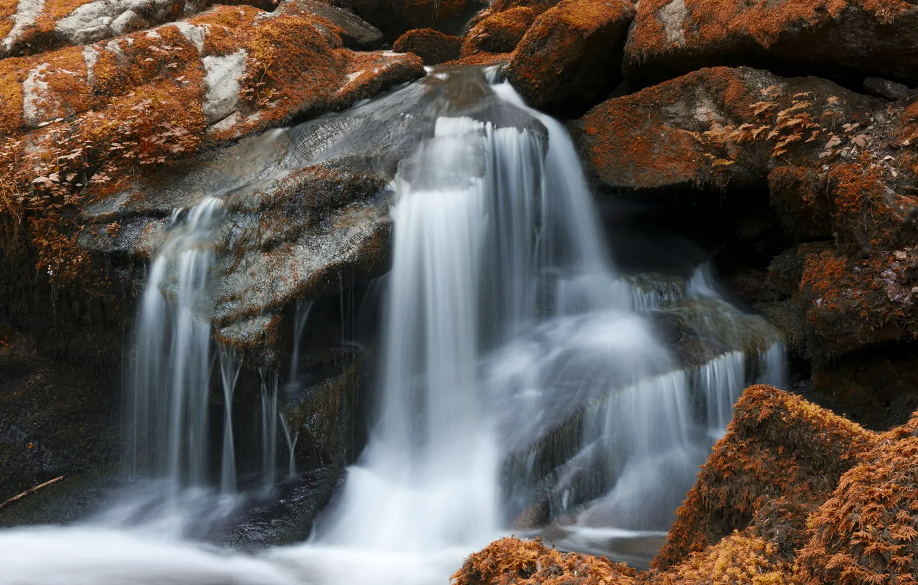 Photo wallpaper autumn, nature, stones, rocks, vegetation, waterfall, moss, stream