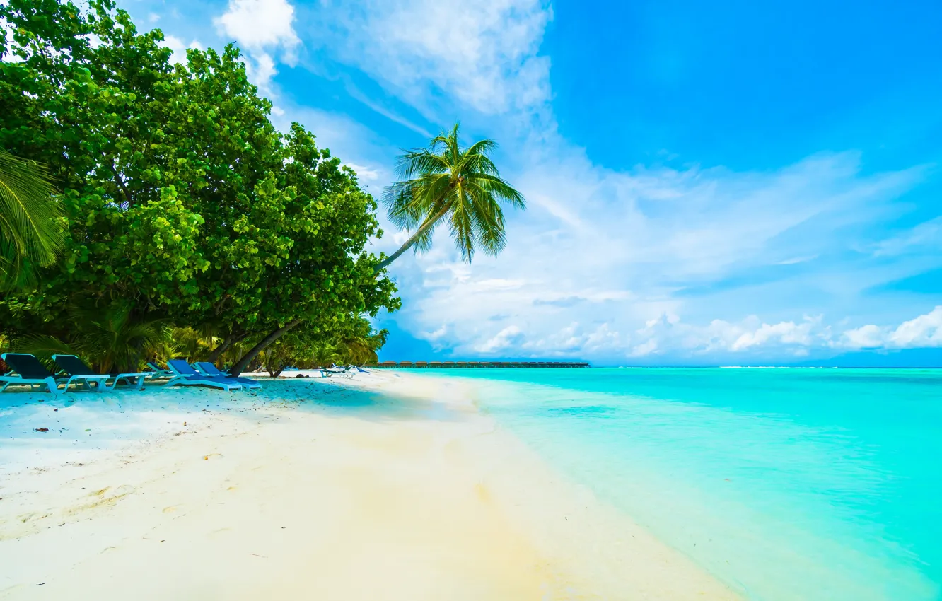 Photo wallpaper Sand, Sea, Beach, Summer, Shore, Tropics, Palm trees, The Maldives