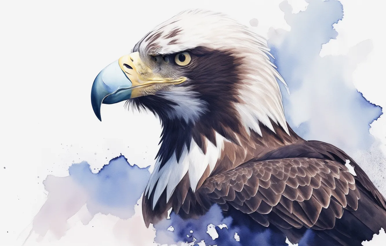 Photo wallpaper bird, eagle, figure, watercolor, Eagle, bird, birds, Big Bird