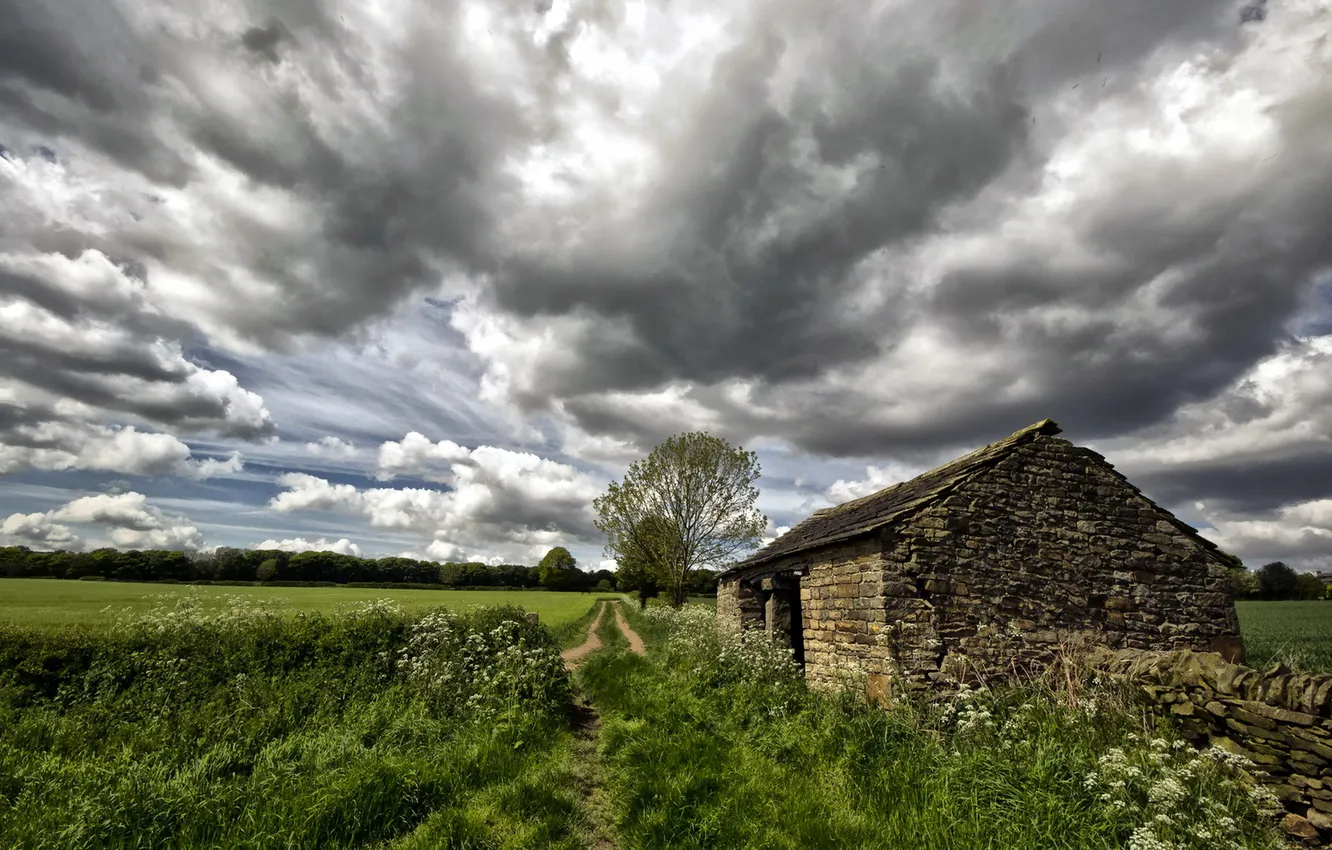 Photo wallpaper field, the sky, house