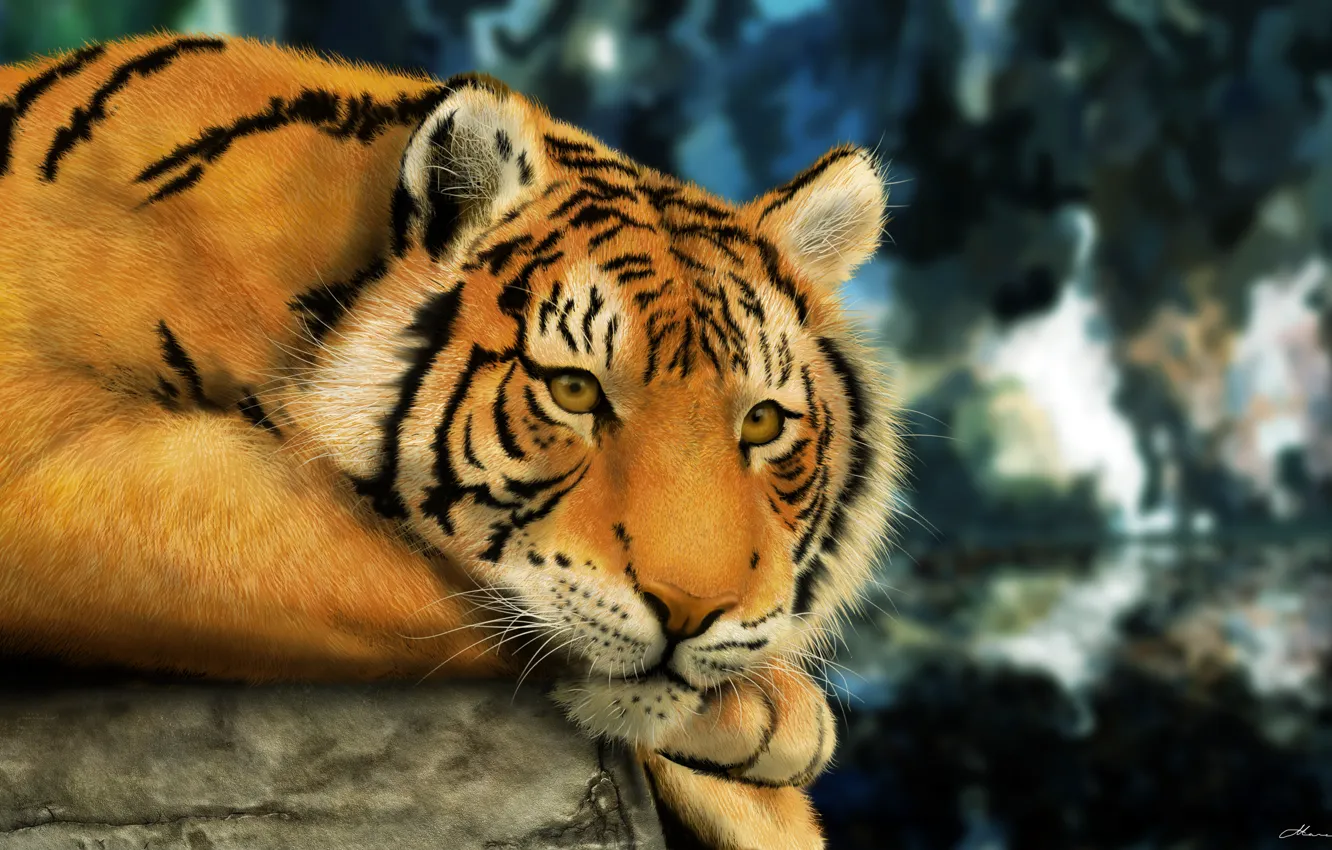Photo wallpaper tiger, looks, bengal tiger