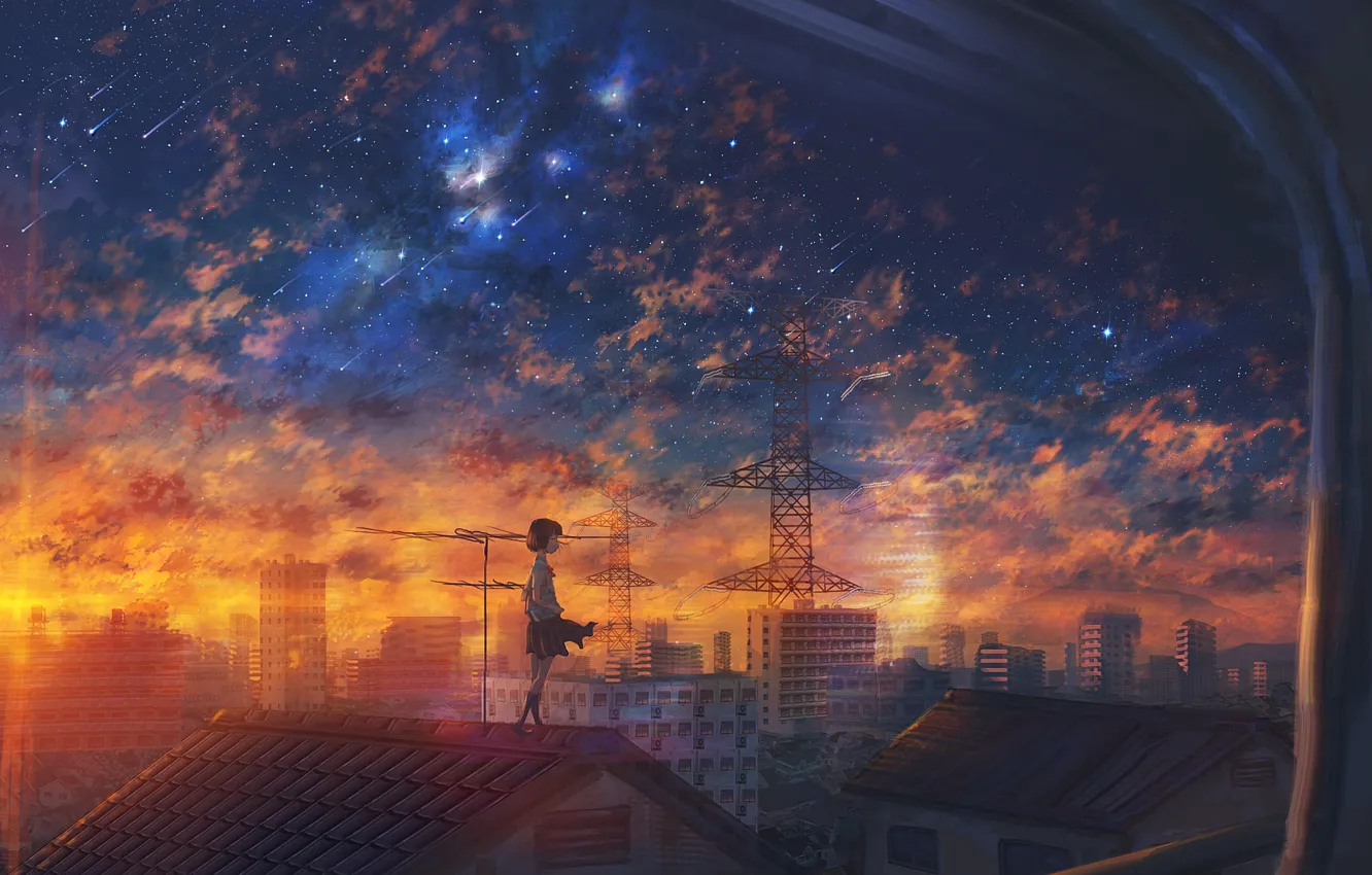 Photo wallpaper roof, sunset, the city, girl, Starfall