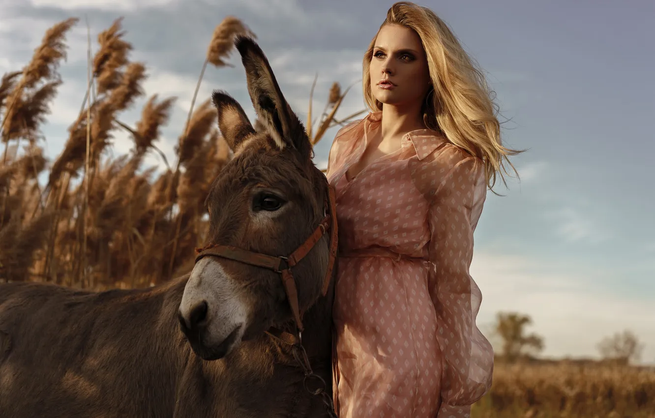Photo wallpaper girl, blonde, Ass, donkey, donkey