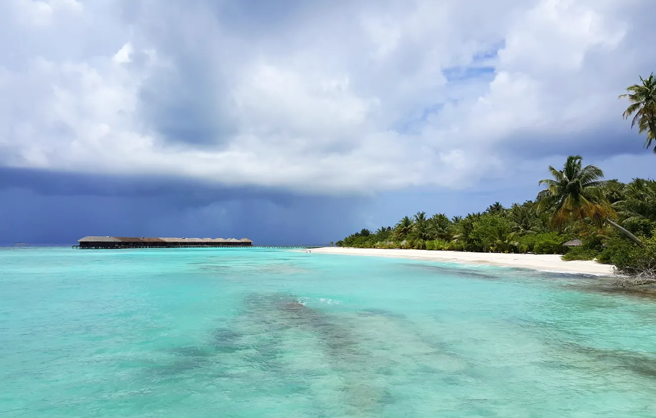 Photo wallpaper the storm, beach, tropics, palm trees, the ocean, element, island, Мaldives