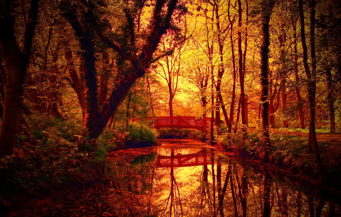 Photo wallpaper autumn, trees, bridge, pond, Park, stream