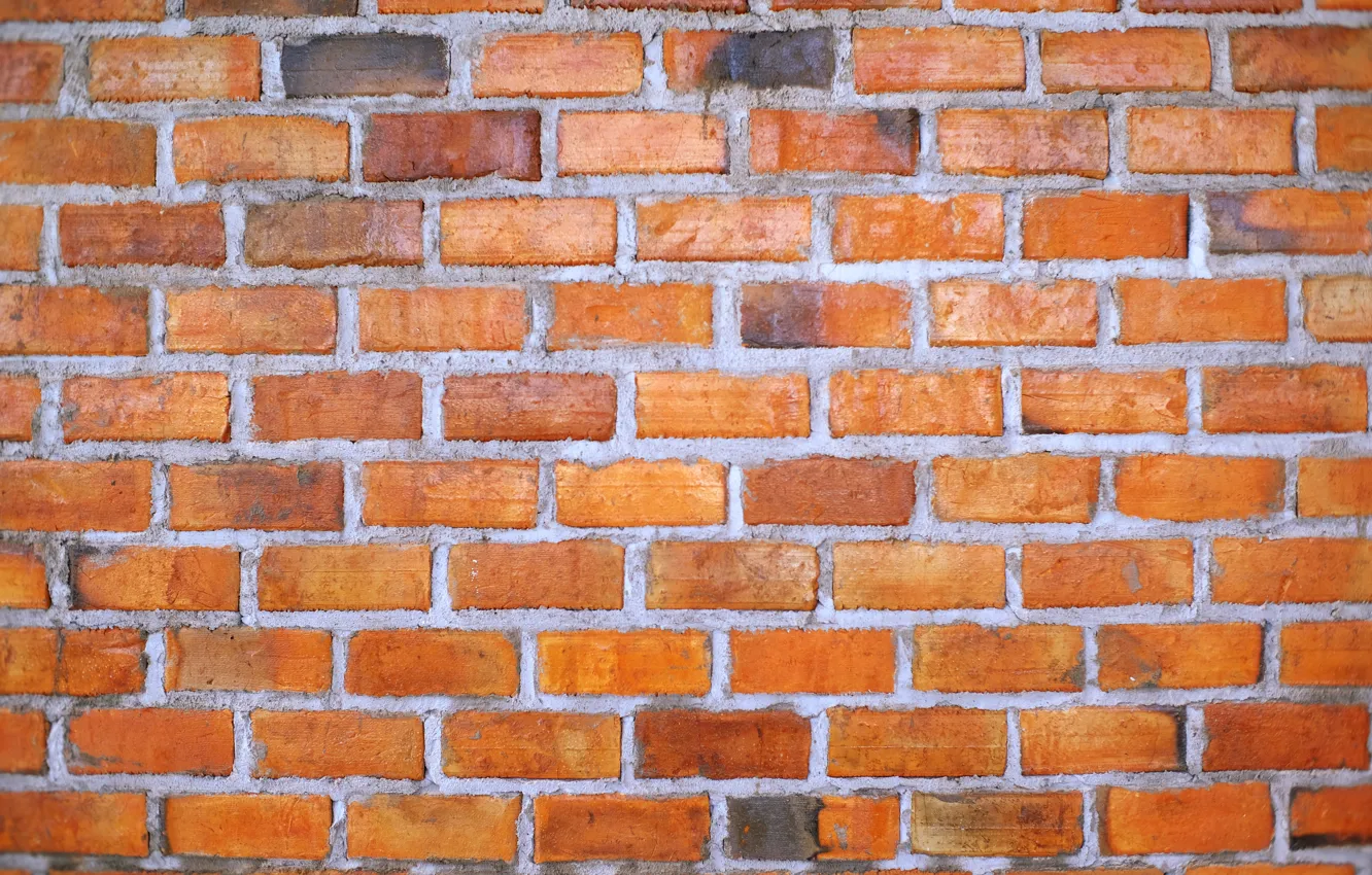 Photo wallpaper texture, wall, bricks