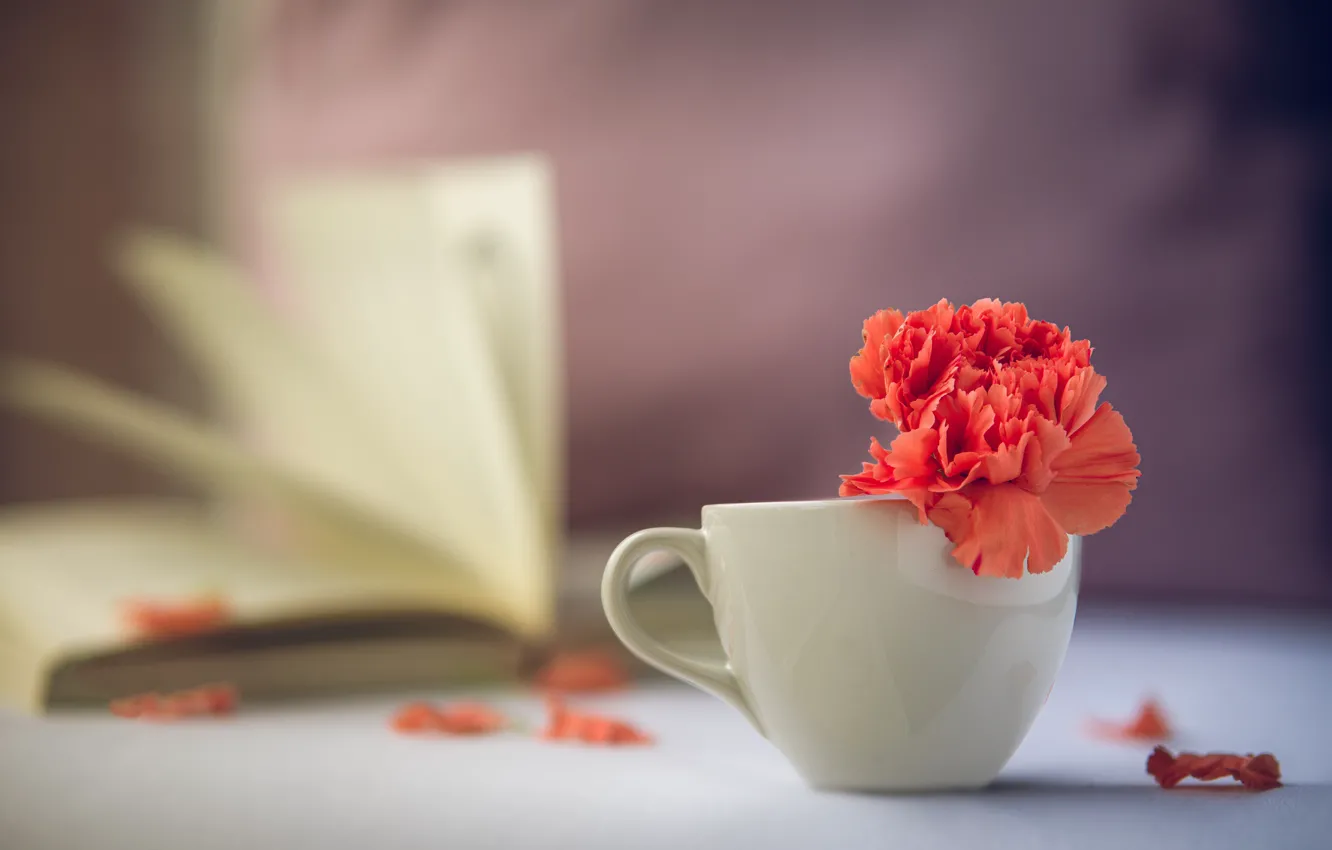 Photo wallpaper flower, blur, petals, mug, Cup, book, red, carnation