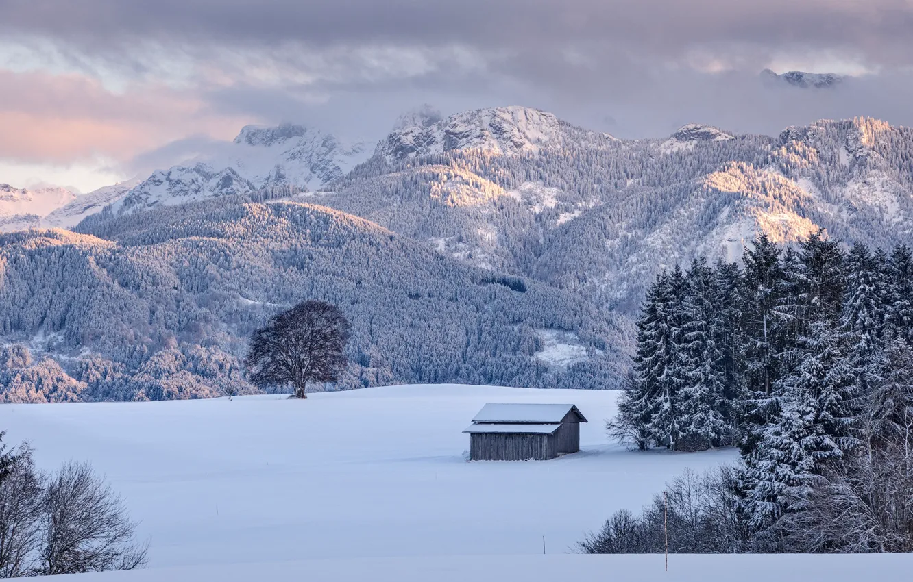 Photo wallpaper the snow, house, snow, winter, frost, nature, forest