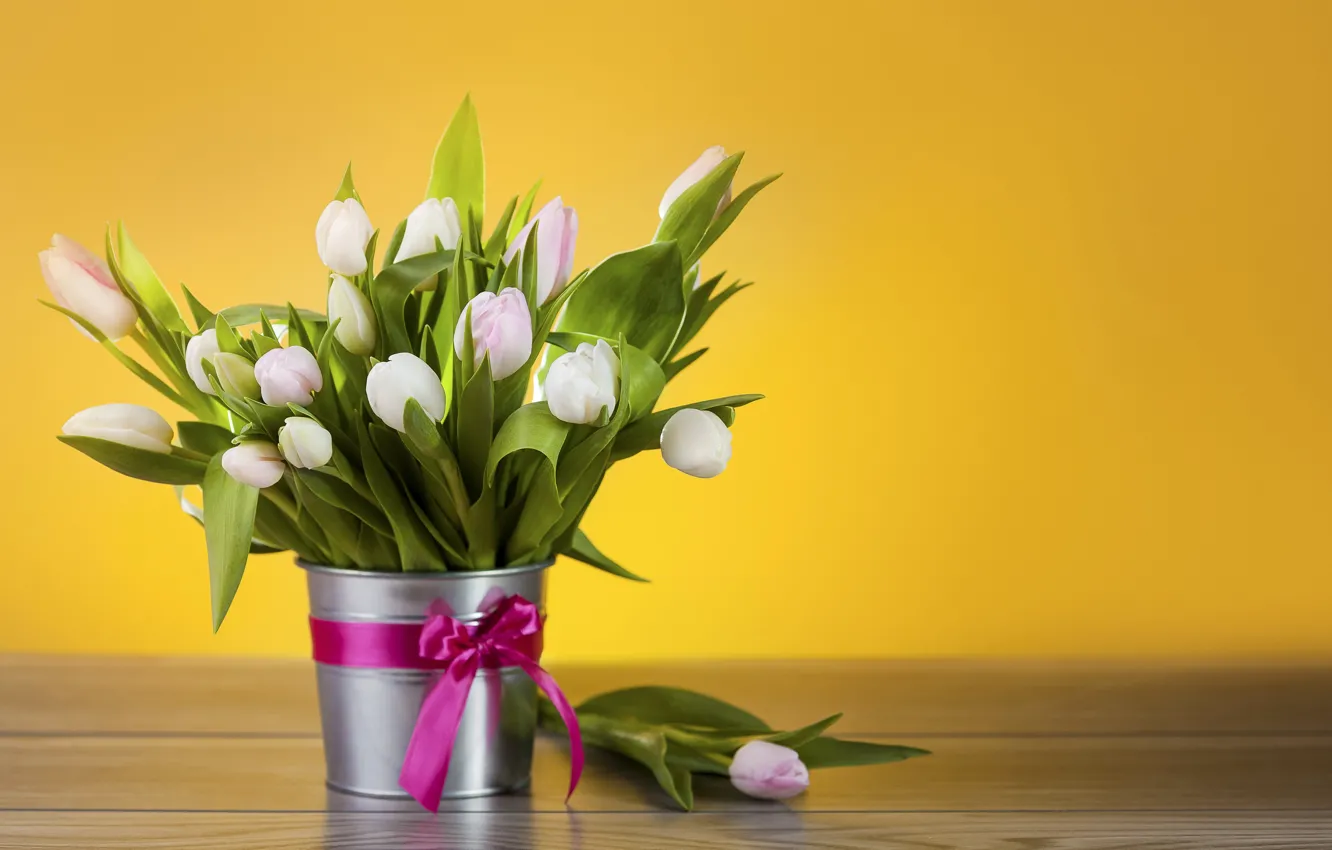 Photo wallpaper flowers, bucket, tulips, white, bow