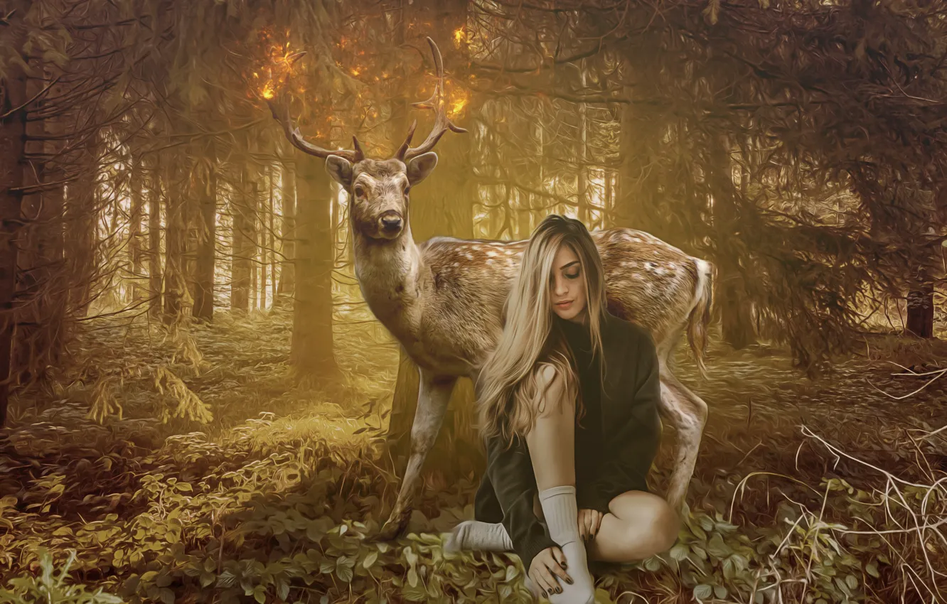 Photo wallpaper forest, leaves, girl, trees, branches, pose, lights, fantasy