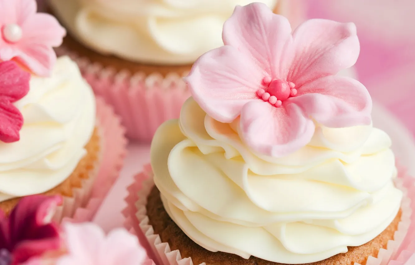 Photo wallpaper flowers, cream, decor, cupcake