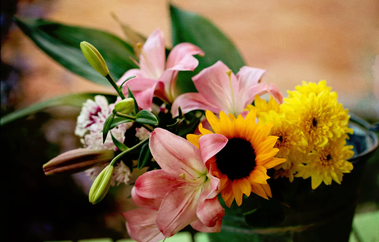 Photo wallpaper sunflowers, Lily, chrysanthemum, © Elena Di Guardo