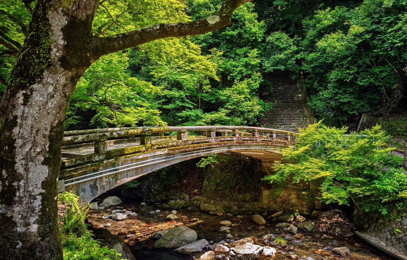 Photo wallpaper greens, trees, river, stones, Japan, Japan, River, Minoh Bridge