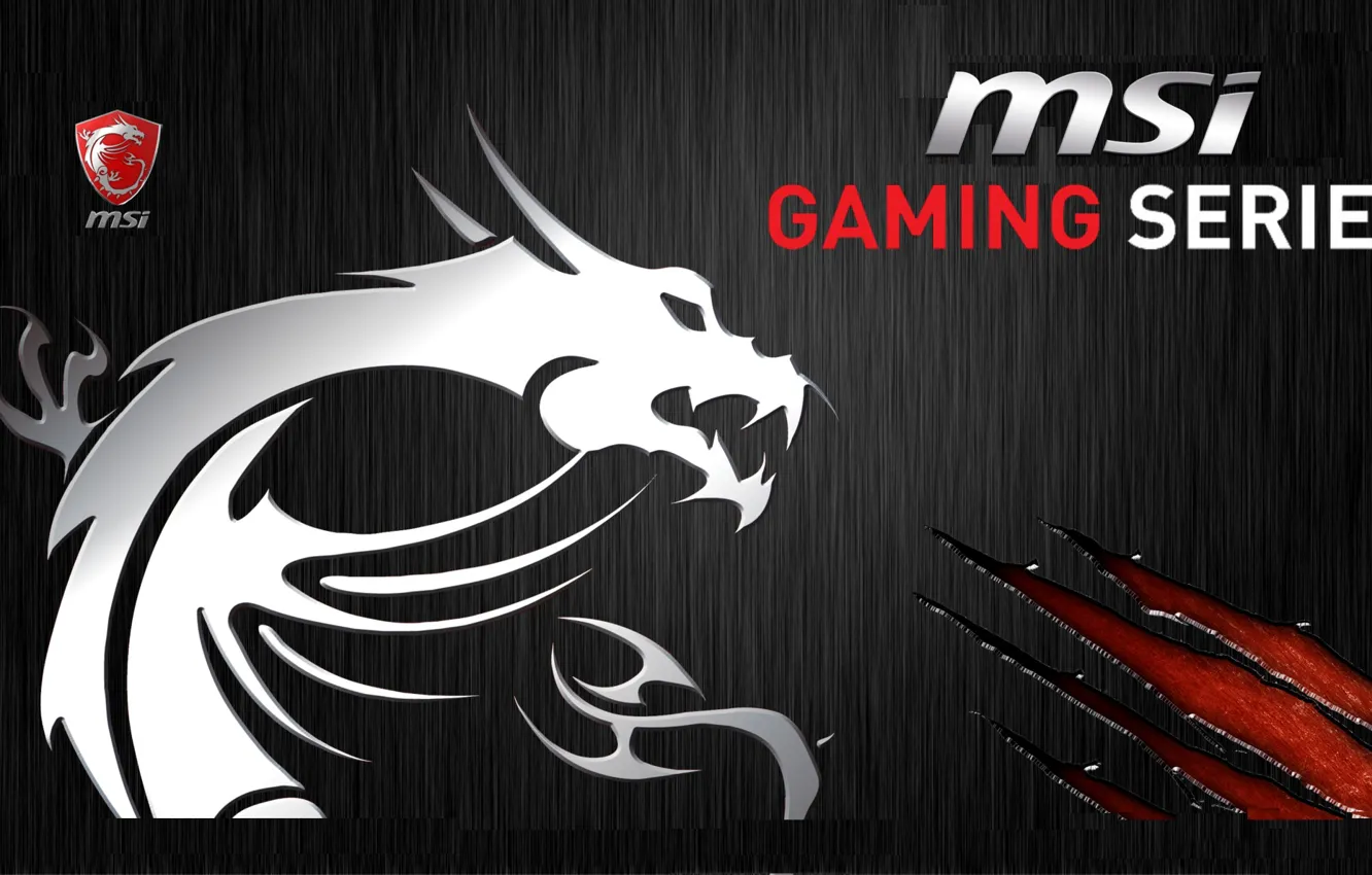 Photo wallpaper iron, gaming, MSI