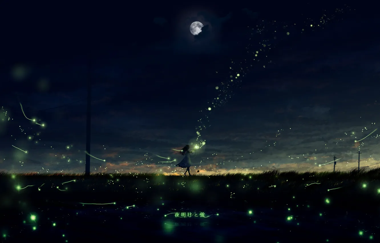 Photo wallpaper road, night, river, fireflies, posts, lights, girl, characters