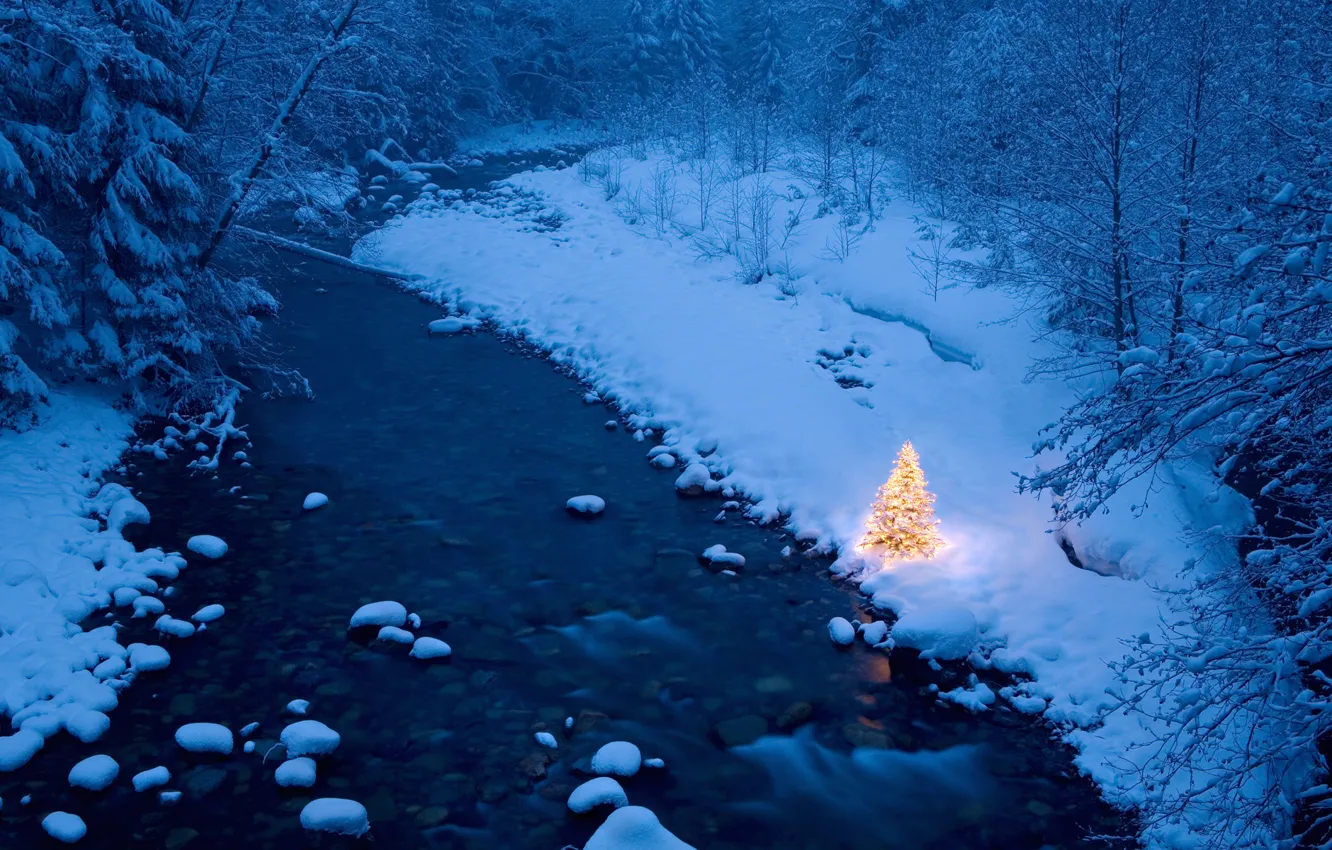 Photo wallpaper forest, river, winter, tree, garland, Christmas