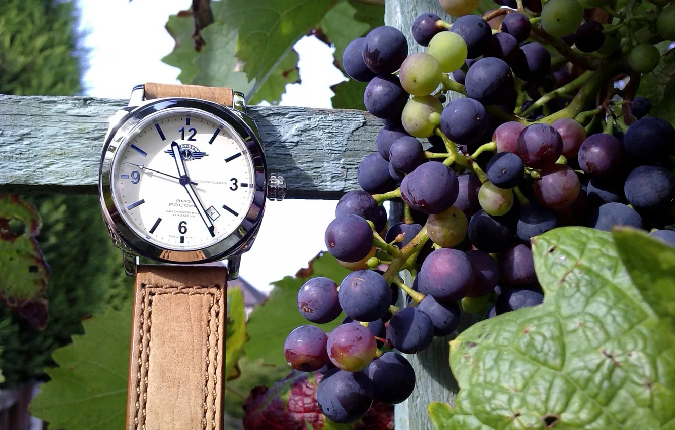 Photo wallpaper leaves, trees, time, mood, watch, leather, grapes