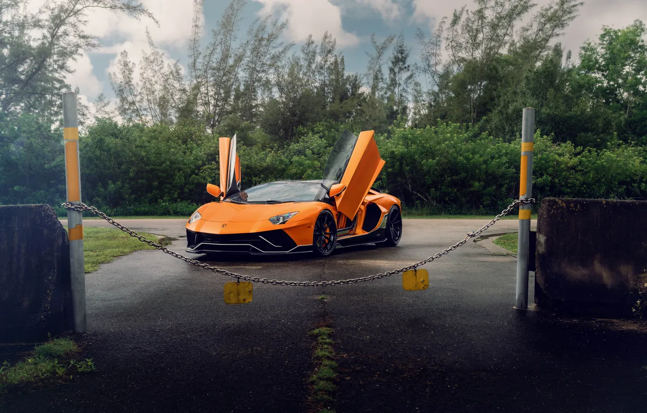 Photo wallpaper car, Lamborghini, wallpaper