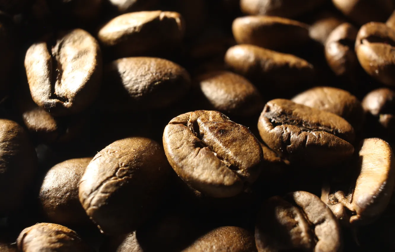 Photo wallpaper dark, coffe, seeds