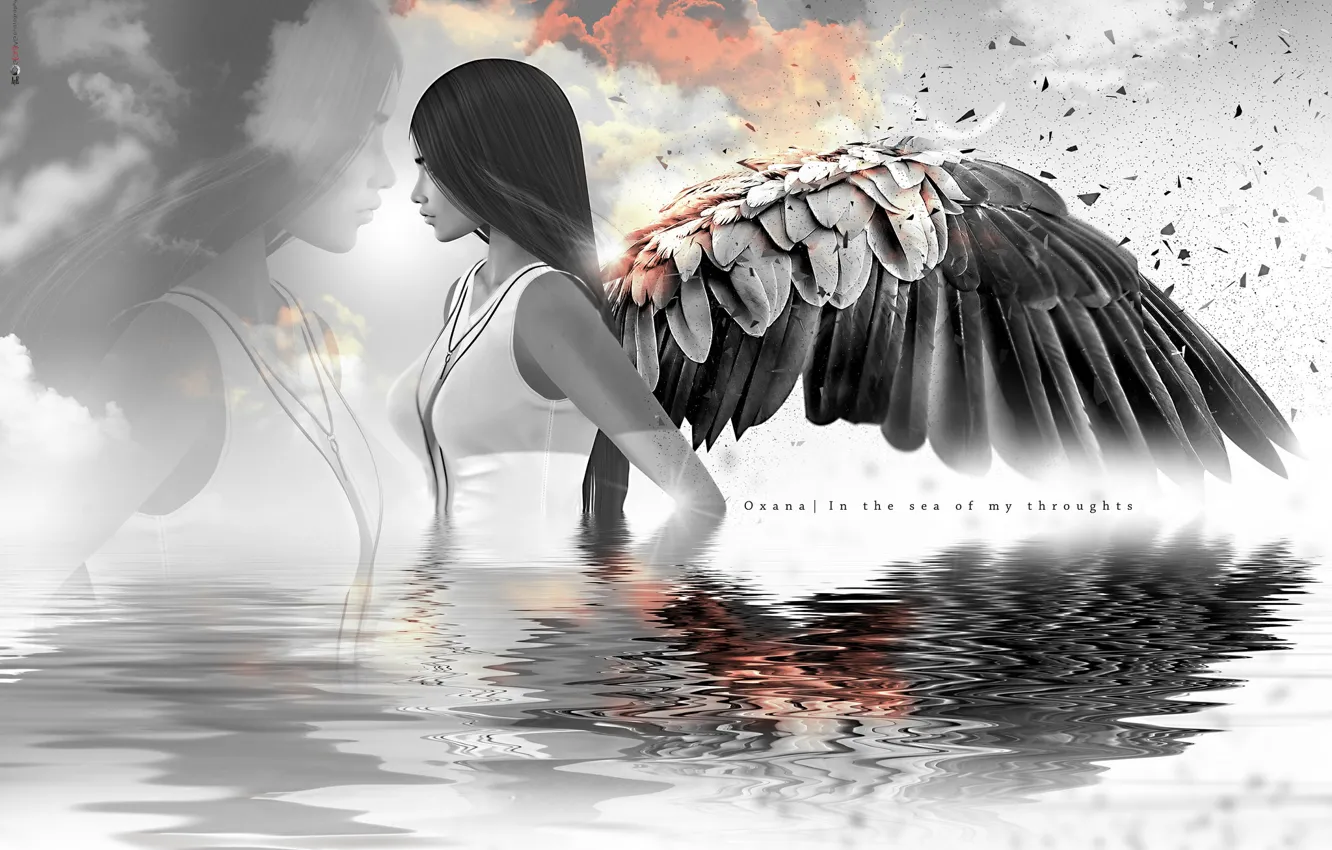Photo wallpaper girl, reflection, hair, wings