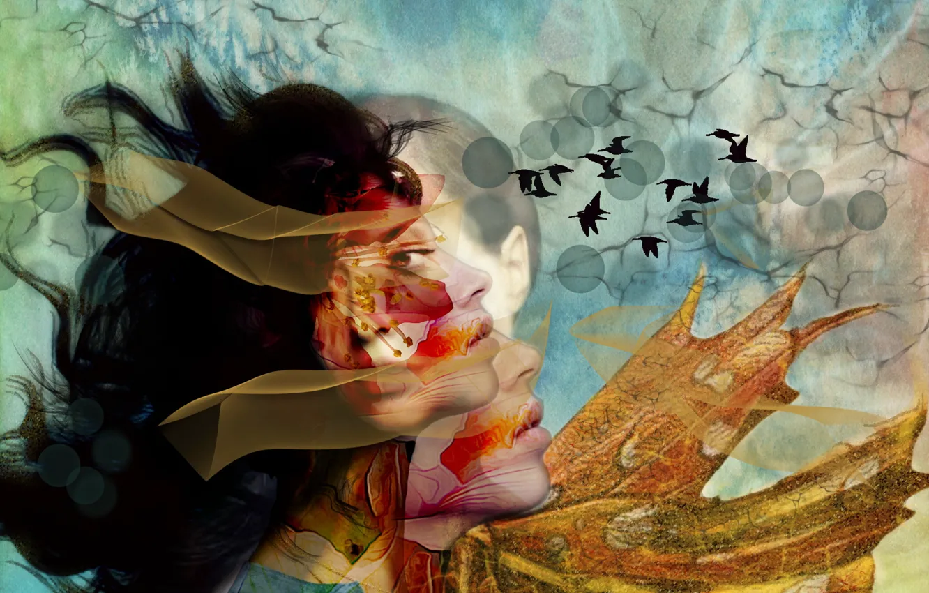 Photo wallpaper face, background, bird, color