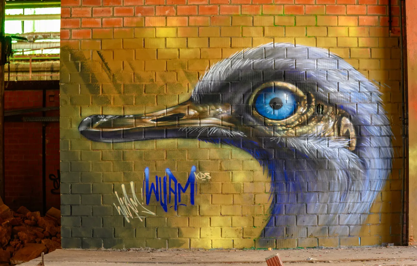 Photo wallpaper bird, head, graffiti wall