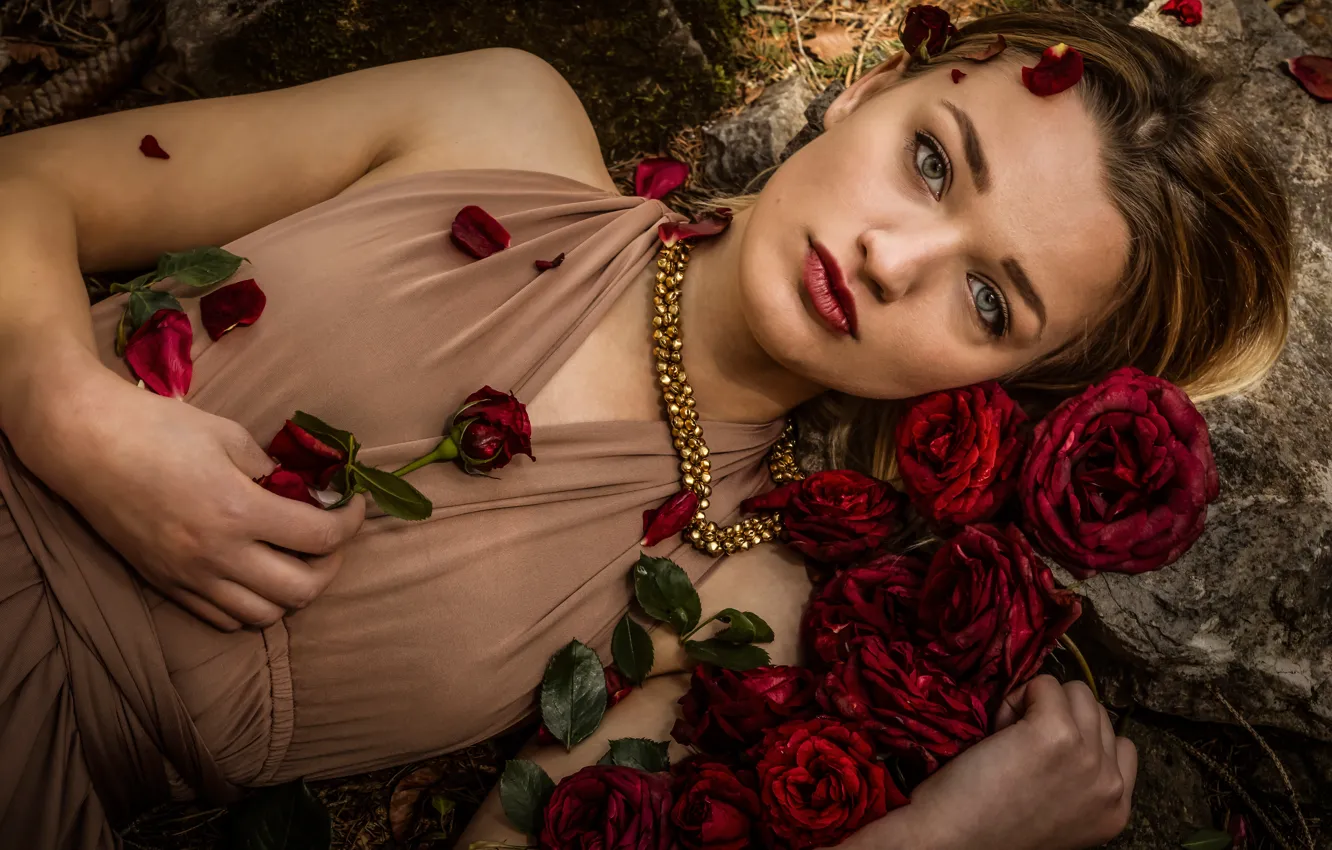 Photo wallpaper look, girl, flowers, face, roses, petals, Svetlana Litvinova