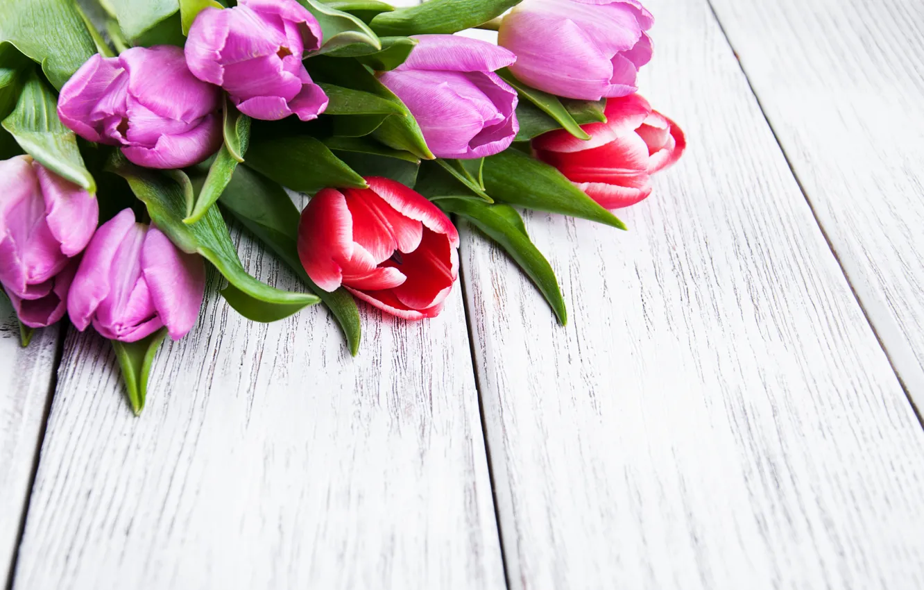 Photo wallpaper flowers, bouquet, colorful, tulips, wood, flowers, tulips, spring