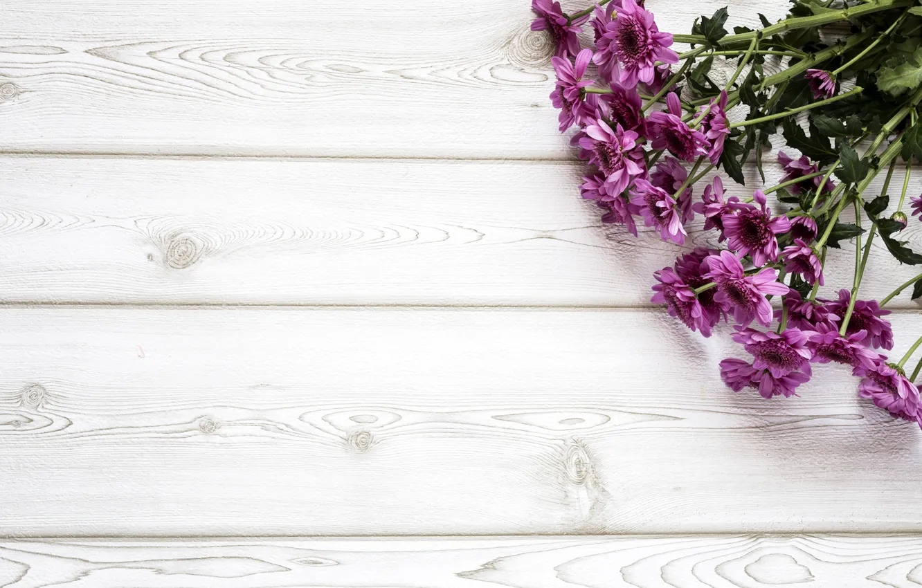 Photo wallpaper flowers, bouquet, chrysanthemum, wood, flowers, purple