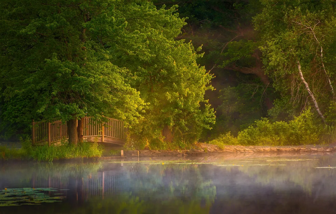 Photo wallpaper summer, lake, Park, the bridge